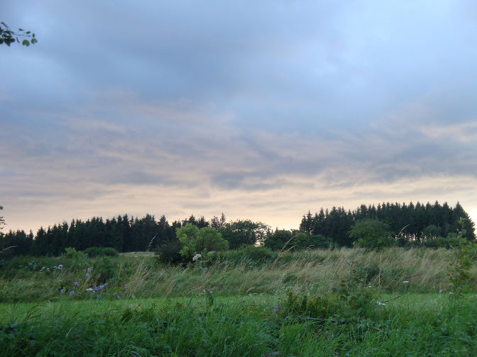 Ansicht6  Rebgeshain