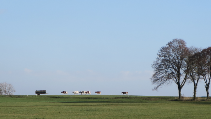 Ansicht1  Rebgeshain