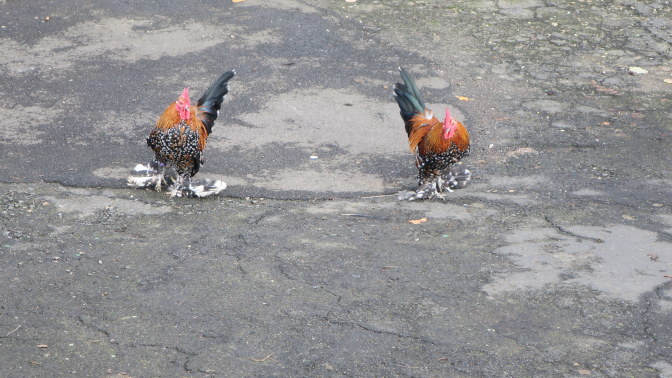 Ansicht15  Rebgeshain