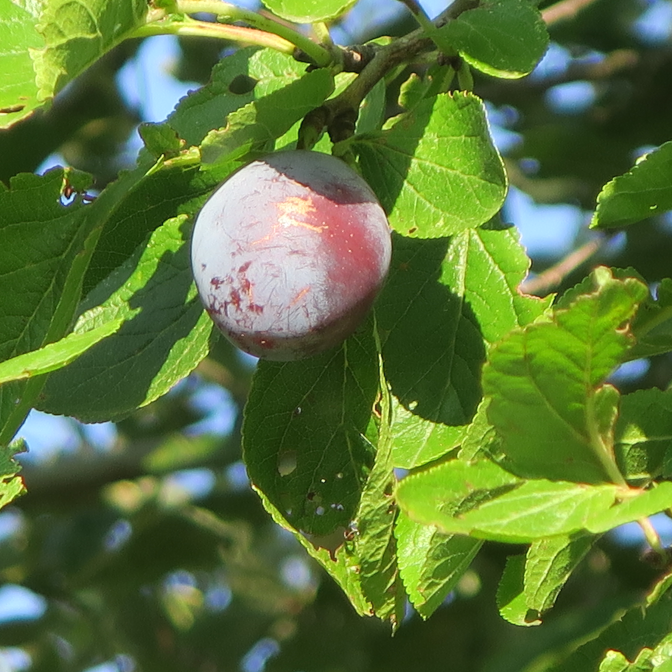 Ansicht16  Rebgeshain