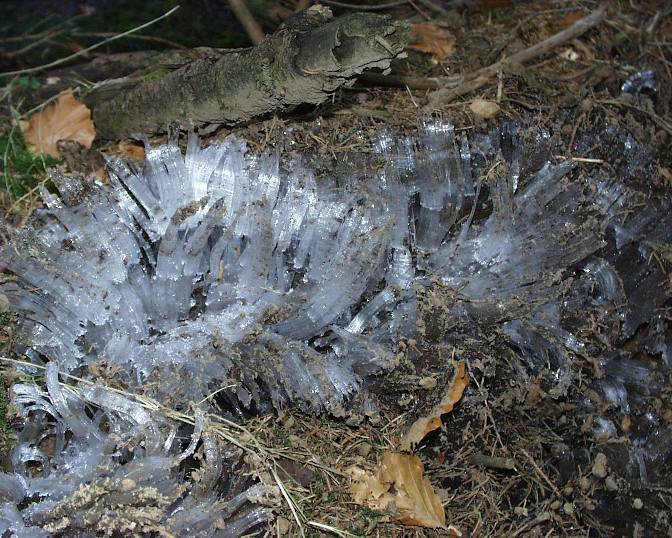 Ansicht21  Rebgeshain