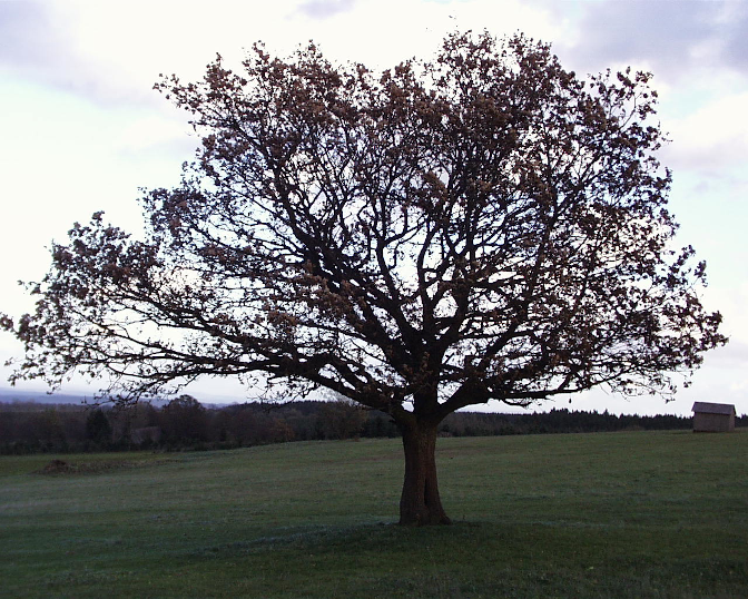 Ansicht23  Rebgeshain