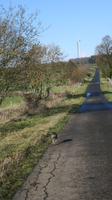 Ansicht4  Rebgeshain