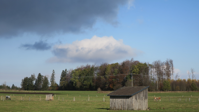 Ansicht6  Rebgeshain