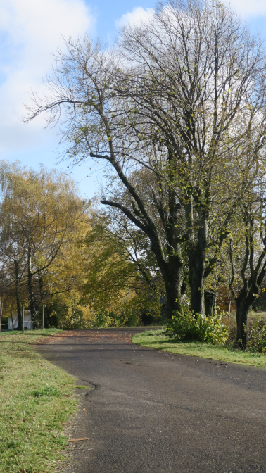 Ansicht8  Rebgeshain