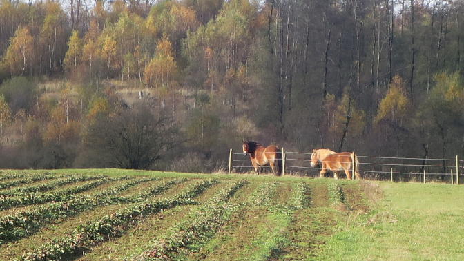 Ansicht9  Rebgeshain