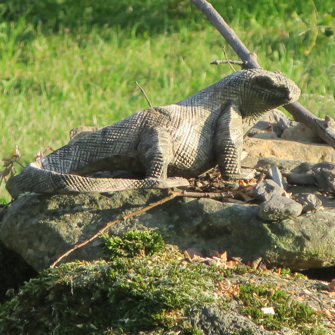 Ansicht21  Rebgeshain