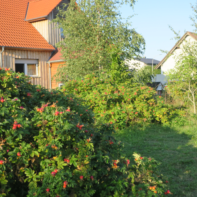 Ansicht23  Rebgeshain