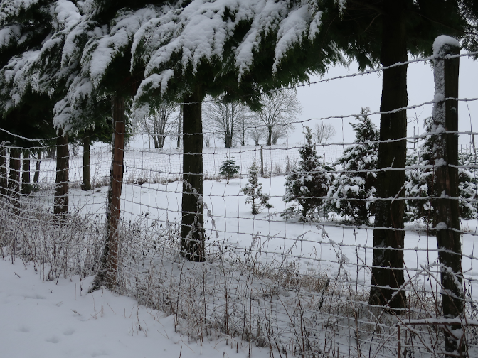 Ansicht12  Rebgeshain