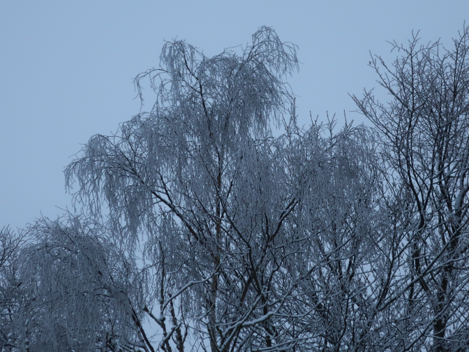 Ansicht25  Rebgeshain