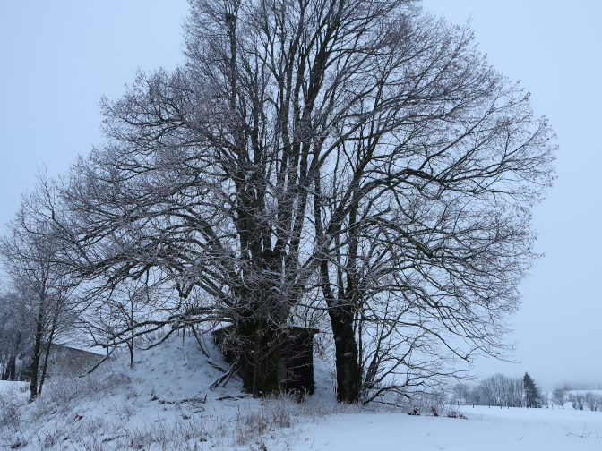 Ansicht28  Rebgeshain